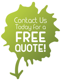 mold remediation quote