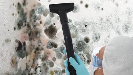 mold and mildew cleaning charlottesville va